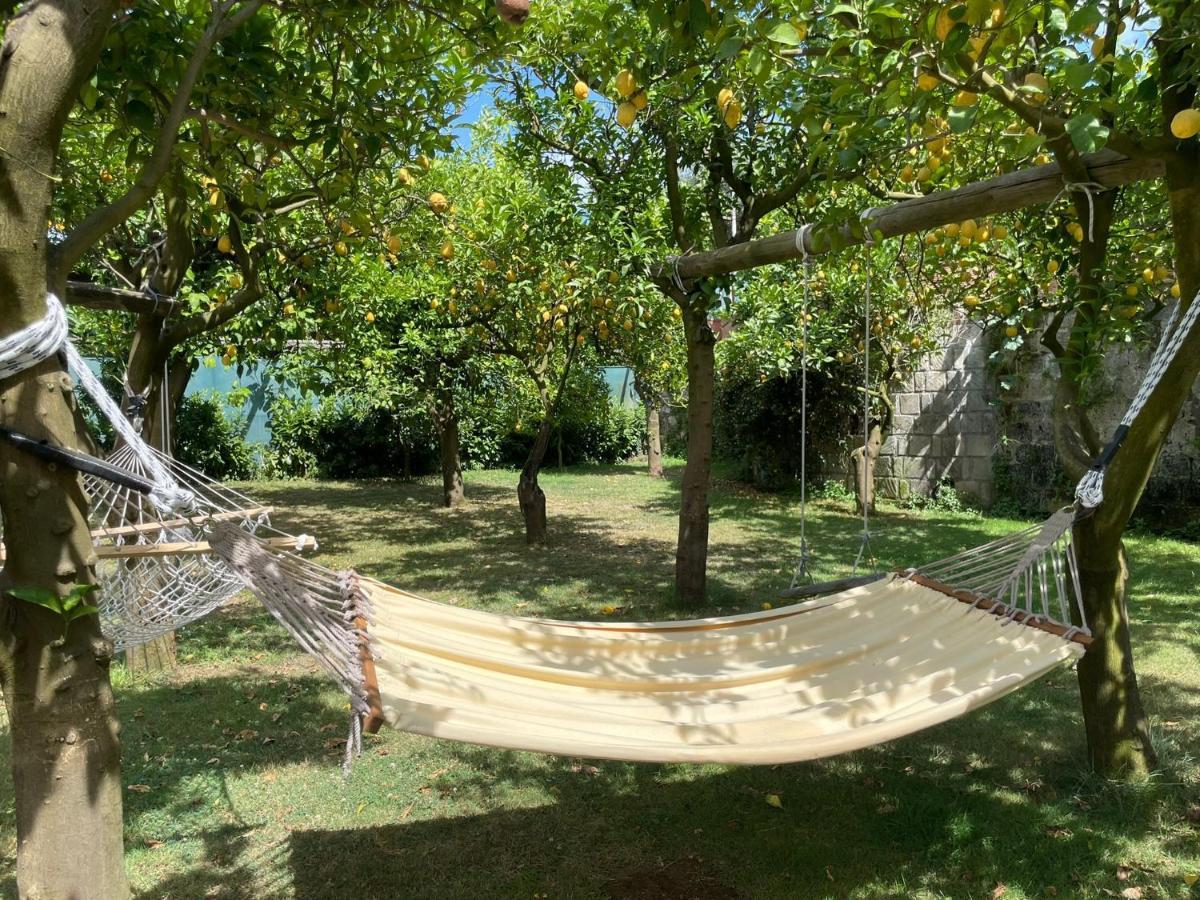 Casa Sorrento, Immerso Nel Verde A Pochi Passi Dal Centro Zewnętrze zdjęcie